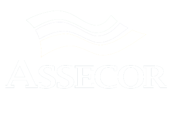 Logo ASSECOR@3x